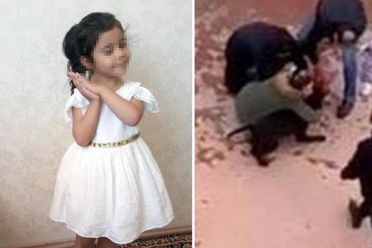 Gaziantep\'te küçük Asiye\'ye pitbull saldırısı davasında 6 sanığa hapis cezası verildi