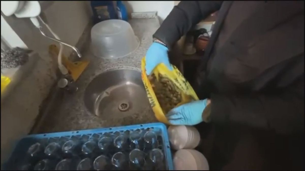 Uyuşturucu Operasyonunda 11 Gözaltı