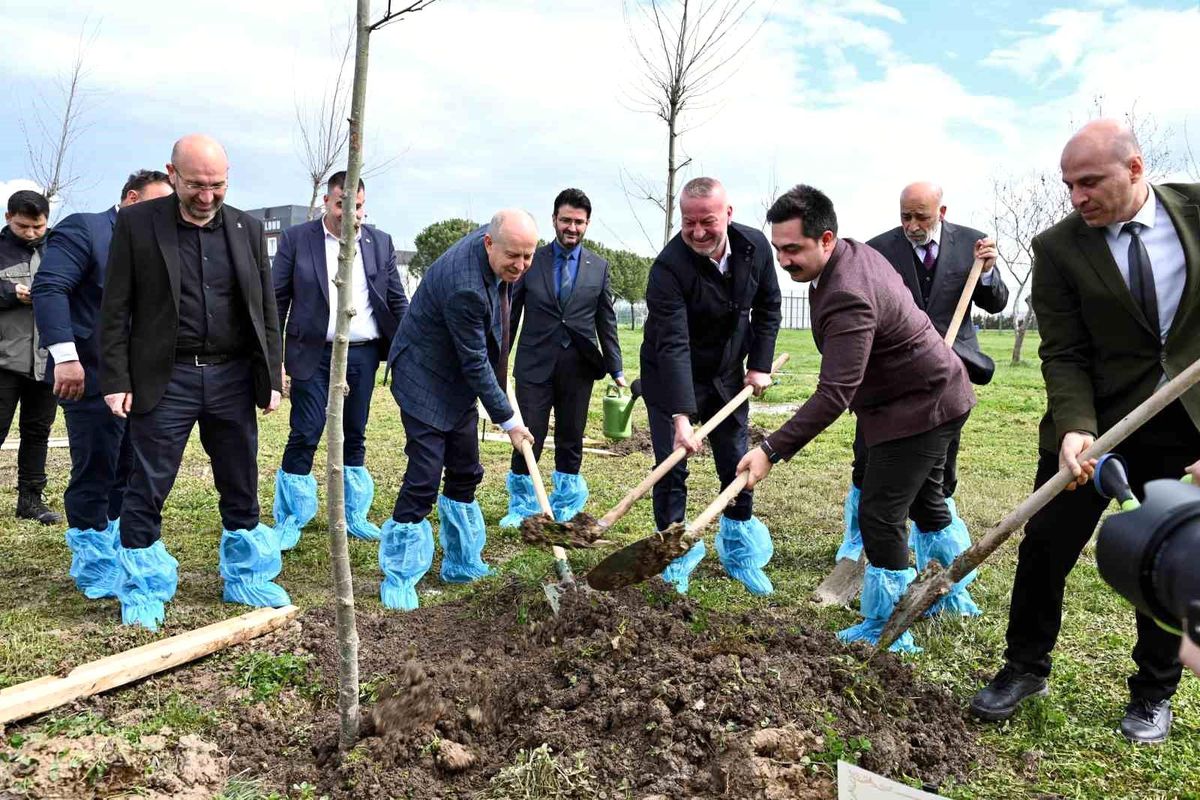 Bursa\'nın fethinin 700\'üncü yılında Karacabey\'de fidanlar toprakla buluştu