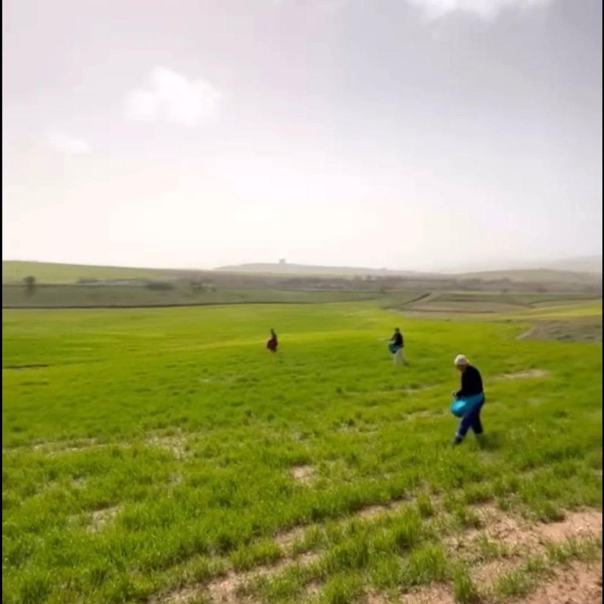 Siirt\'te Çiftçilere Yağış Engeli