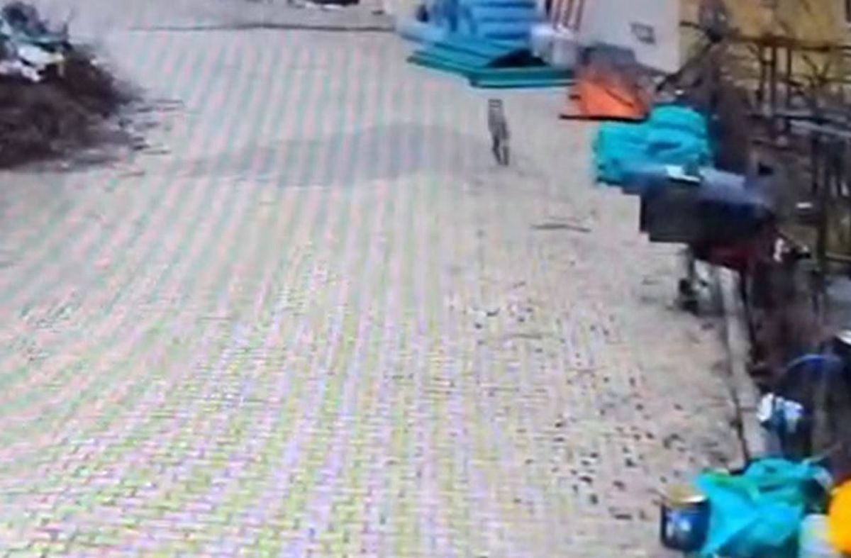 Kurt Mahalleye İndi