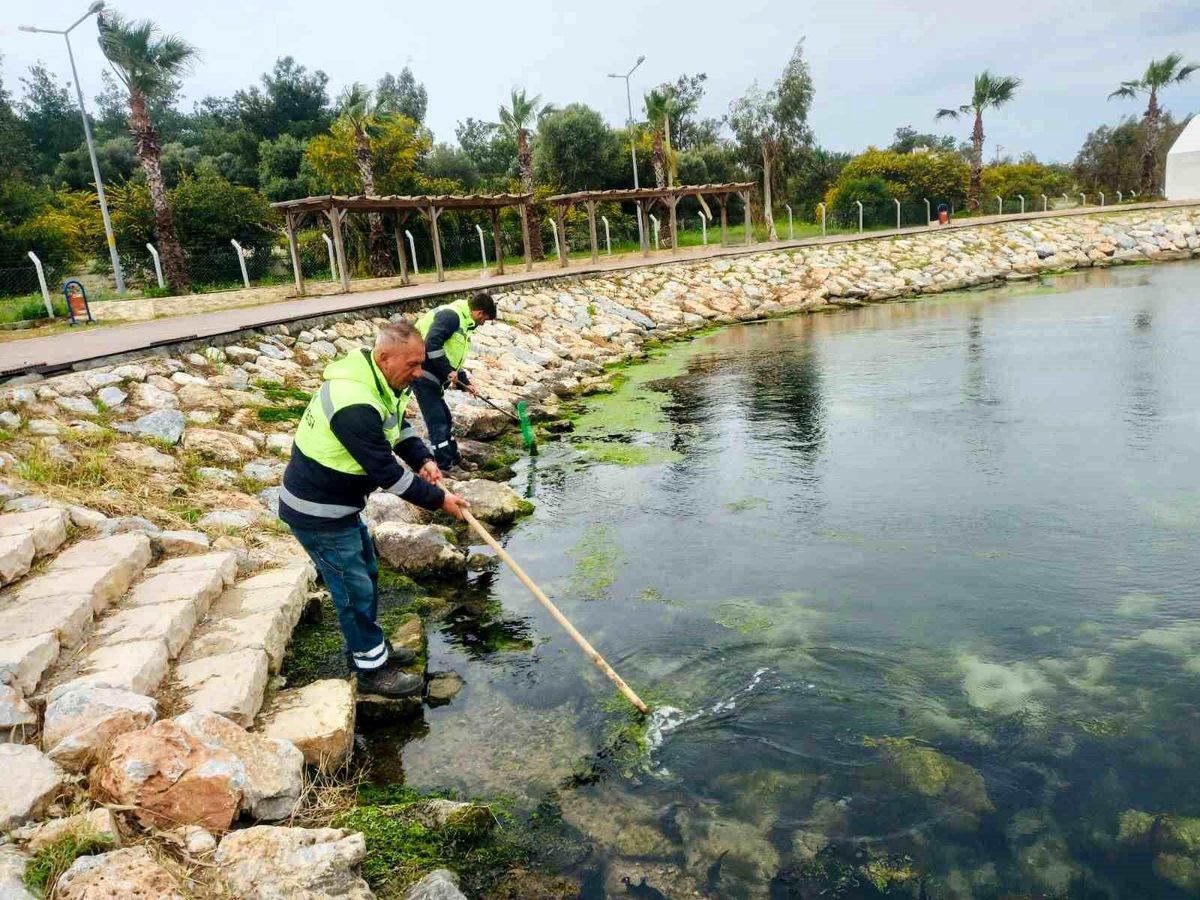 Didim\'de temizlik ve düzenleme çalışmaları sürüyor