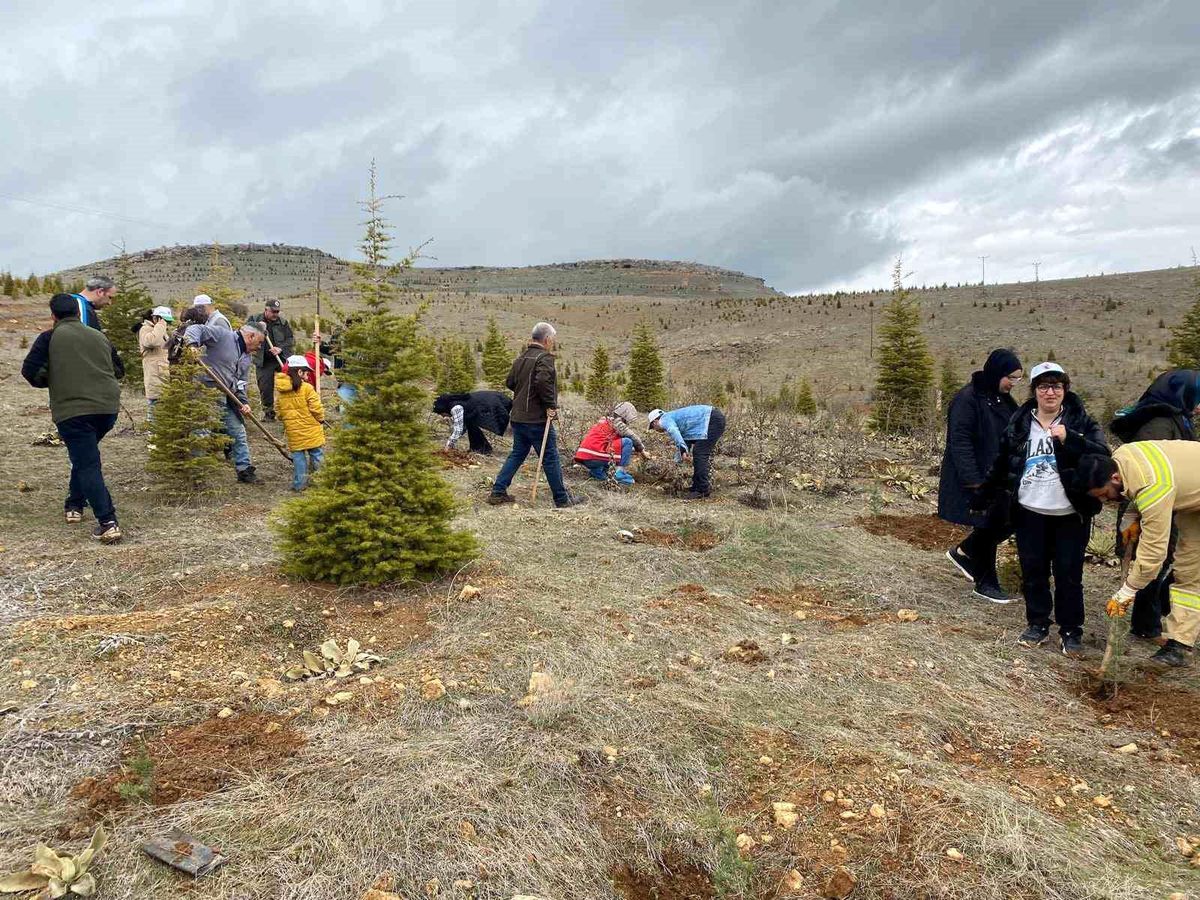 Çocuklar için Doğa Bilinci Etkinliği