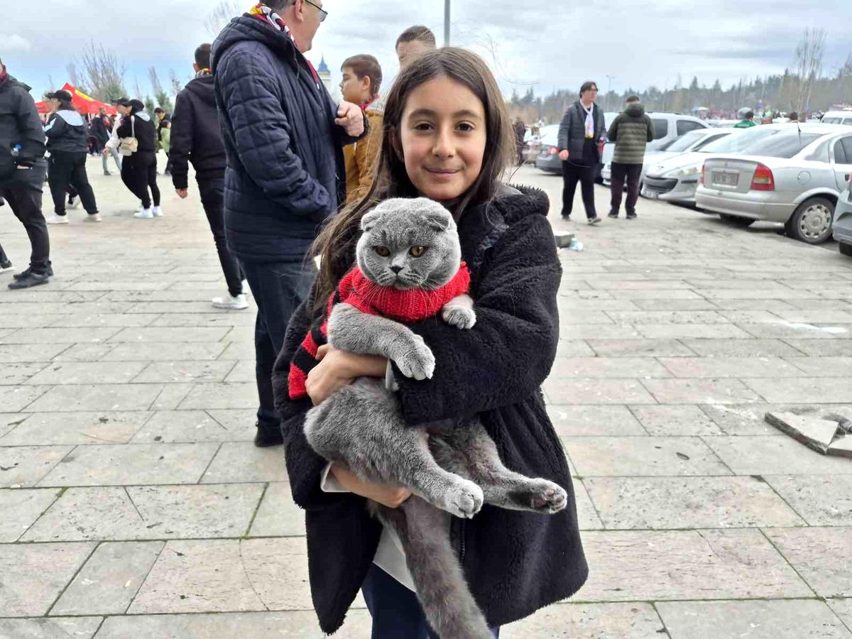 Maçta Kedili Taraftar Çizgisi
