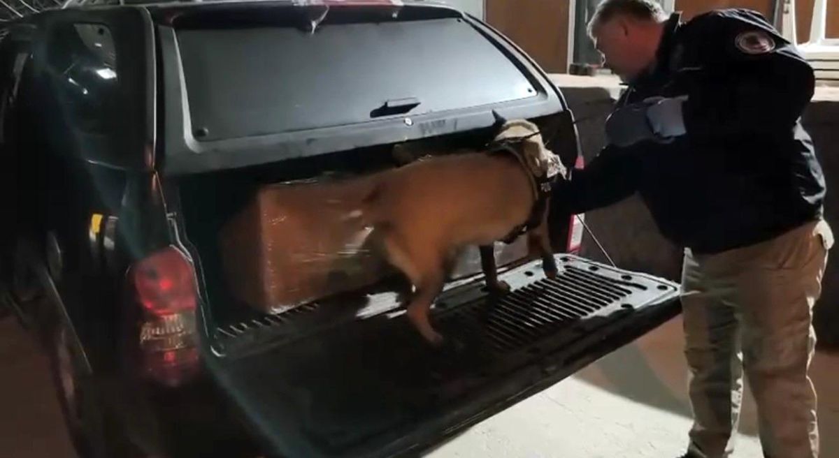 Samsun\'da Uyuşturucu Operasyonu: 4 Gözaltı