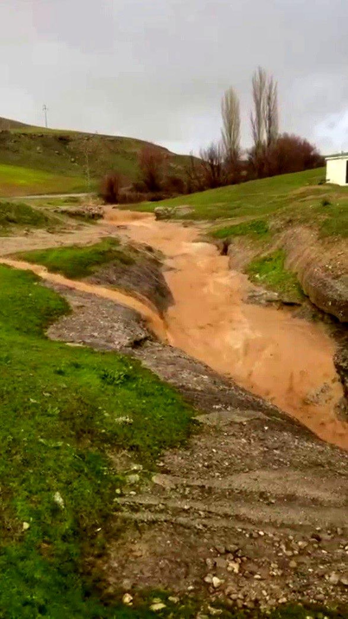 Siirt\'te Dolunun Zarar Verdiği Açıklandı