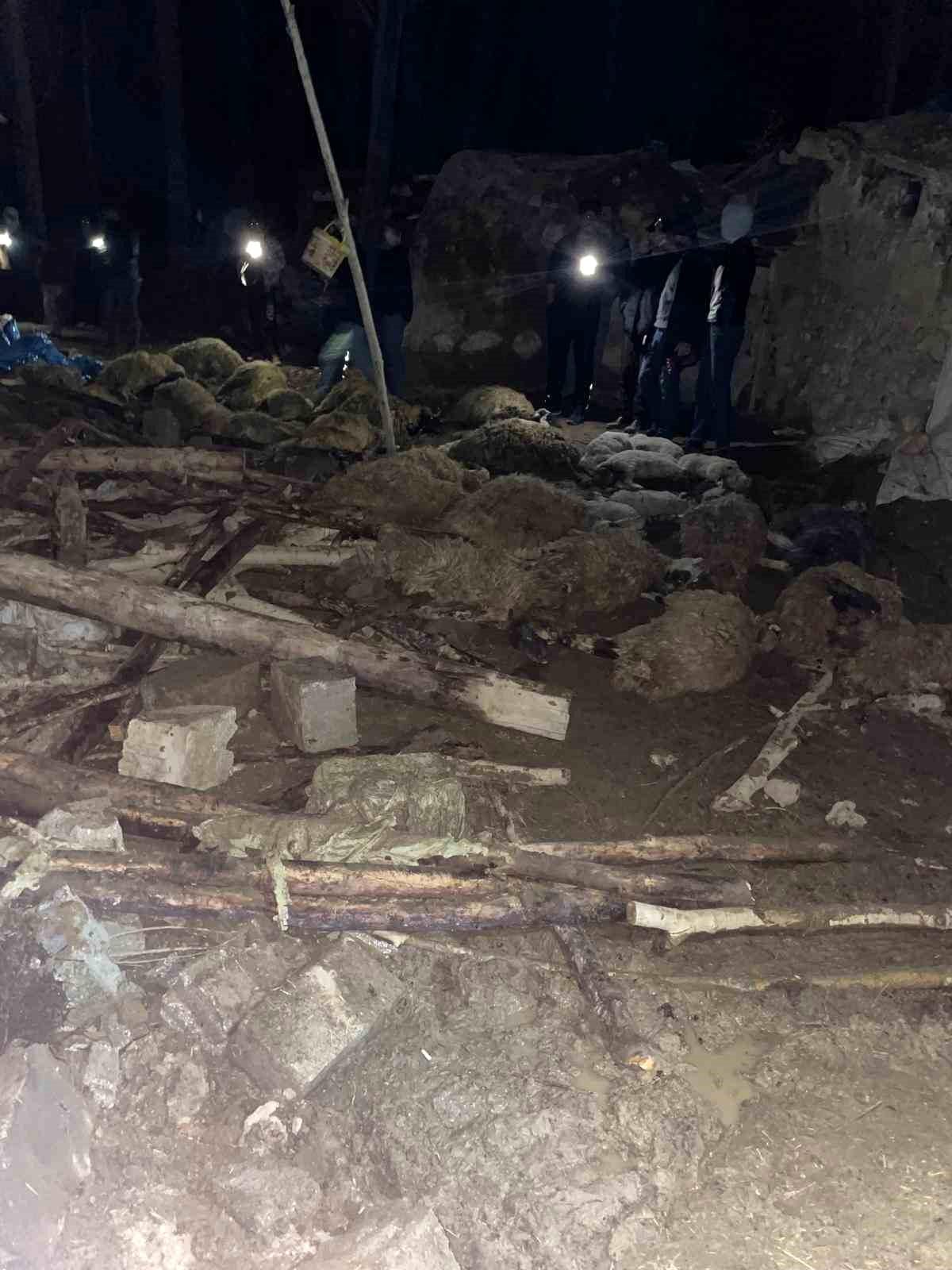 Van\'da Ahır Çökmesi: 56 Hayvan Telef, 1 İnek Kurtarıldı