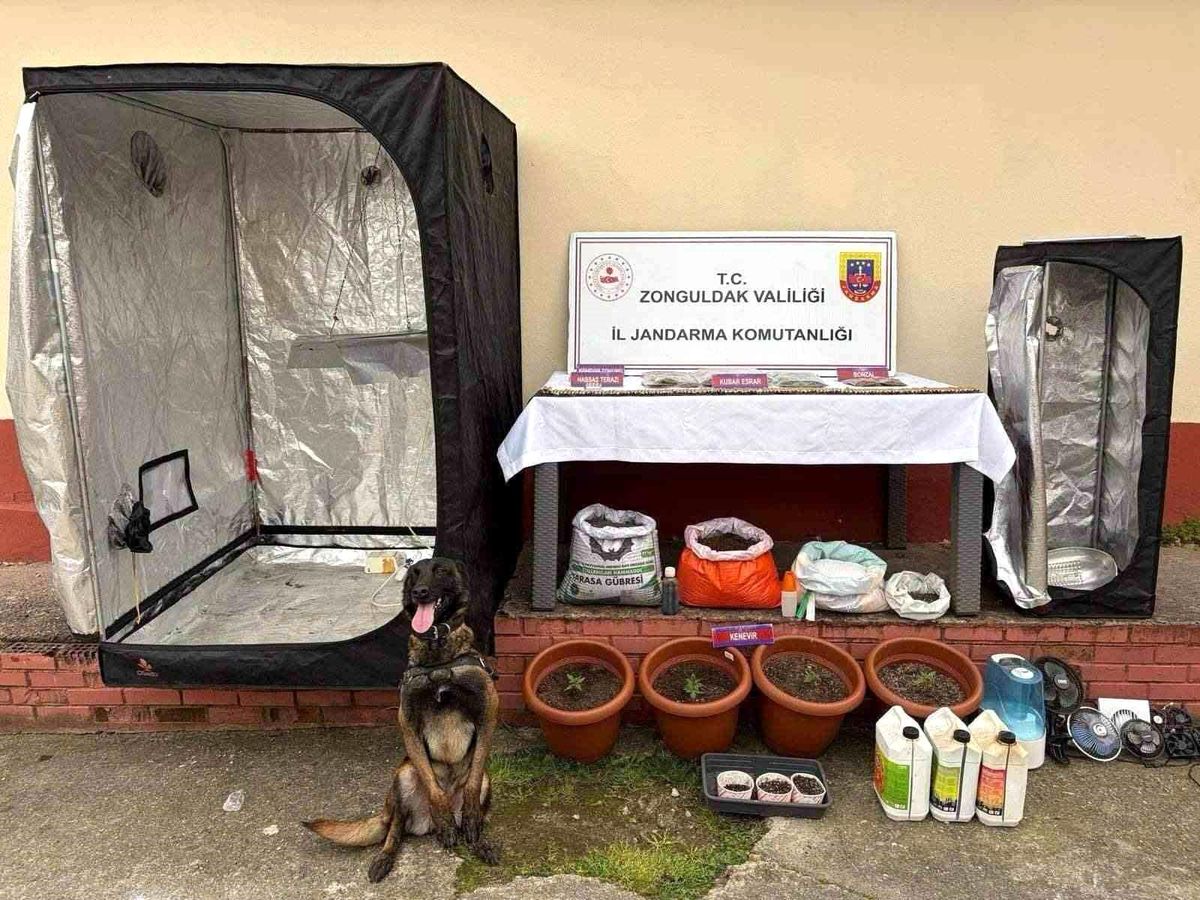 Zonguldak\'ta Uyuşturucu Operasyonu: 3 Gözaltı, 2 Tutuklama