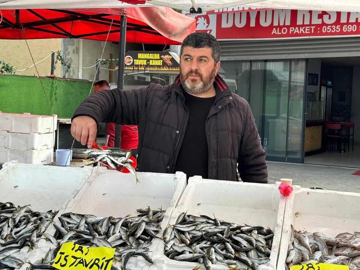 Zonguldak\'ta İstavrit Bereketi