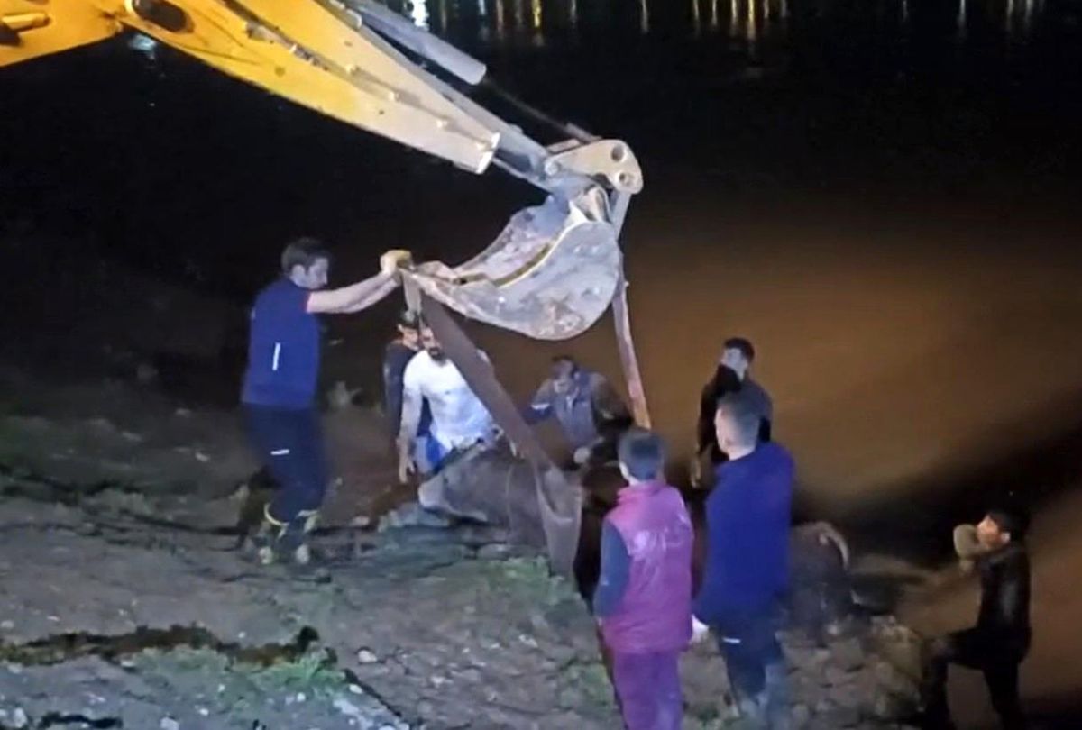 Dicle Nehri\'ne düşen ineği itfaiye iş makinesiyle kurtardı