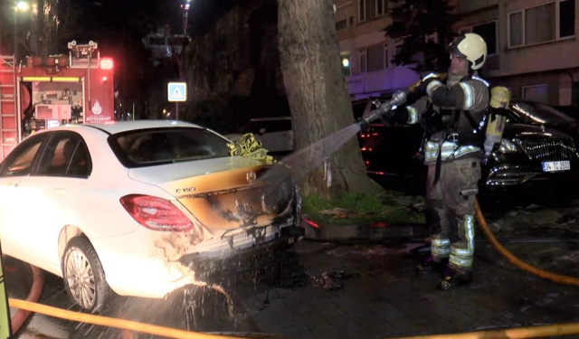 Kayıp tam 100 milyon TL! Gözlerini kırpmadan benzin döküp yaktılar