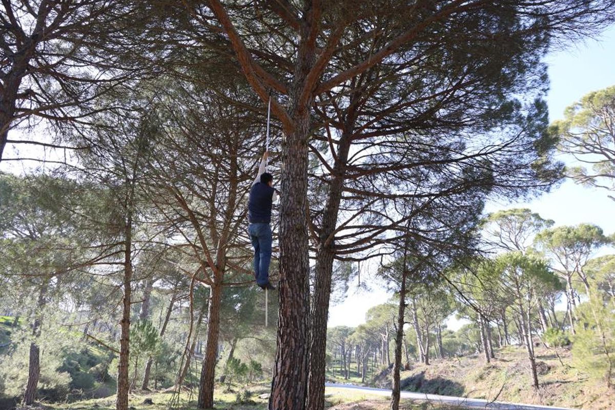 “Örümcek Adamları” iş başında
