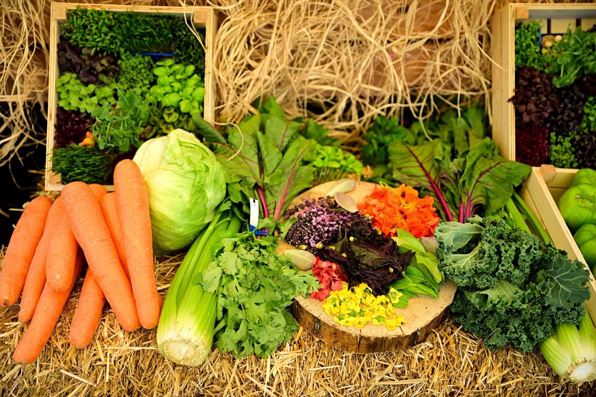 Antalya Gastronomi Festivali 2023
