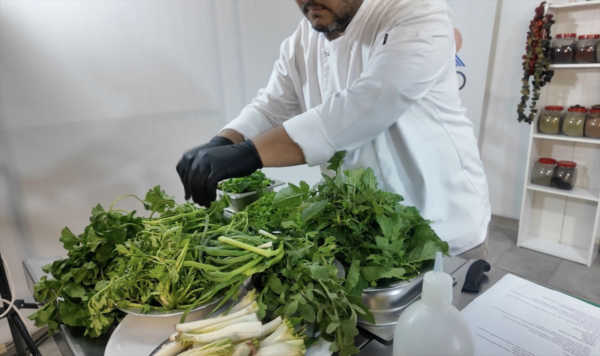 Adıyaman\'da Yabani Otlarla Yerel Yemek Projesi