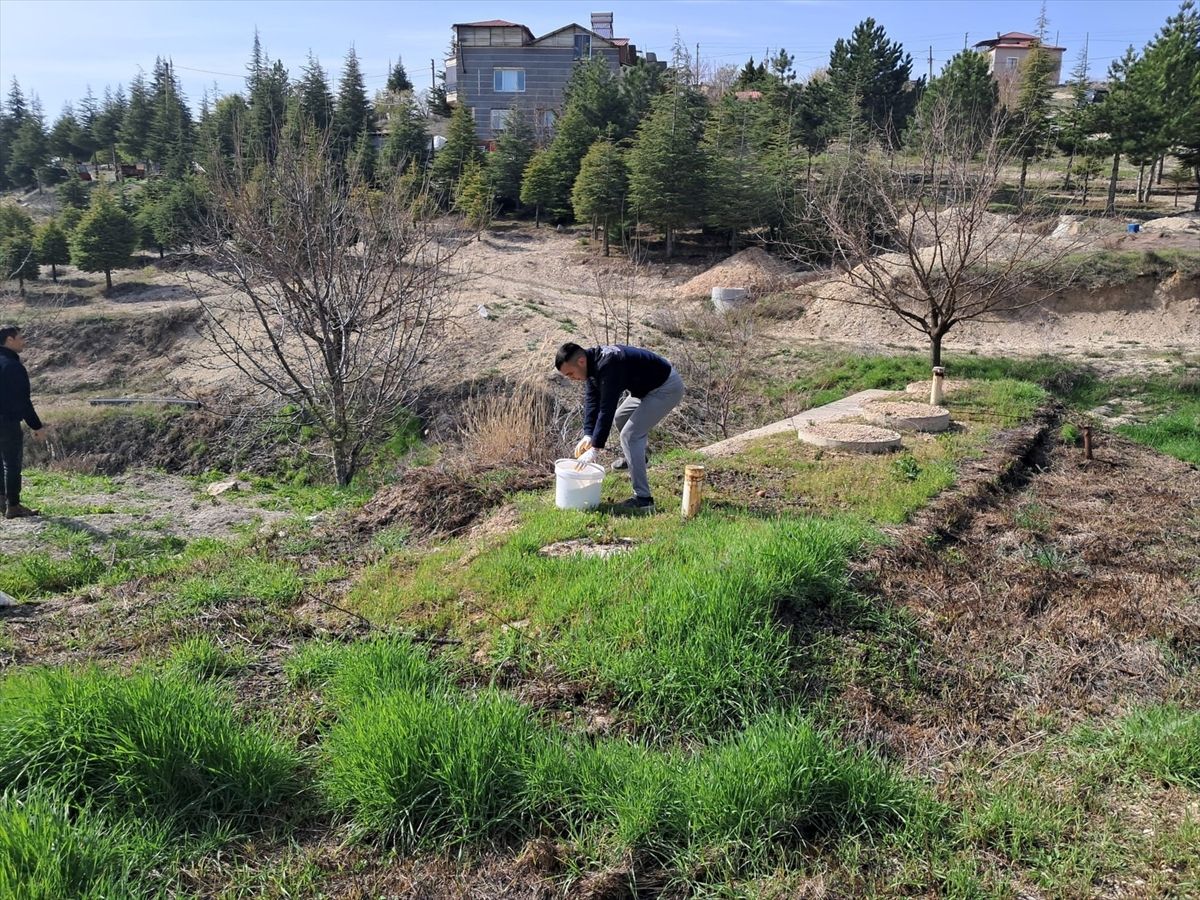 Ağın\'da Haşere İlaçlama Çalışmaları Başladı