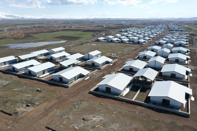 Ağrı'da Modern Hayvancılık Projesi Tamamlanıyor