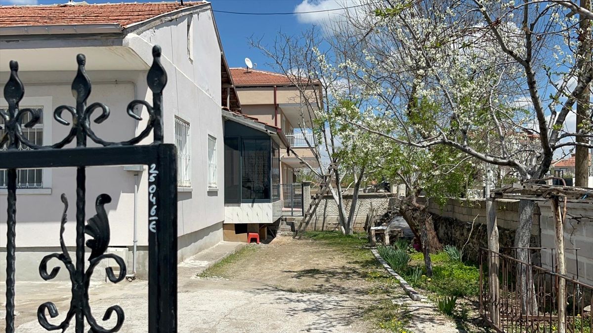 Aksaray\'da Ağaçtan Düşen Kişi Yaralandı