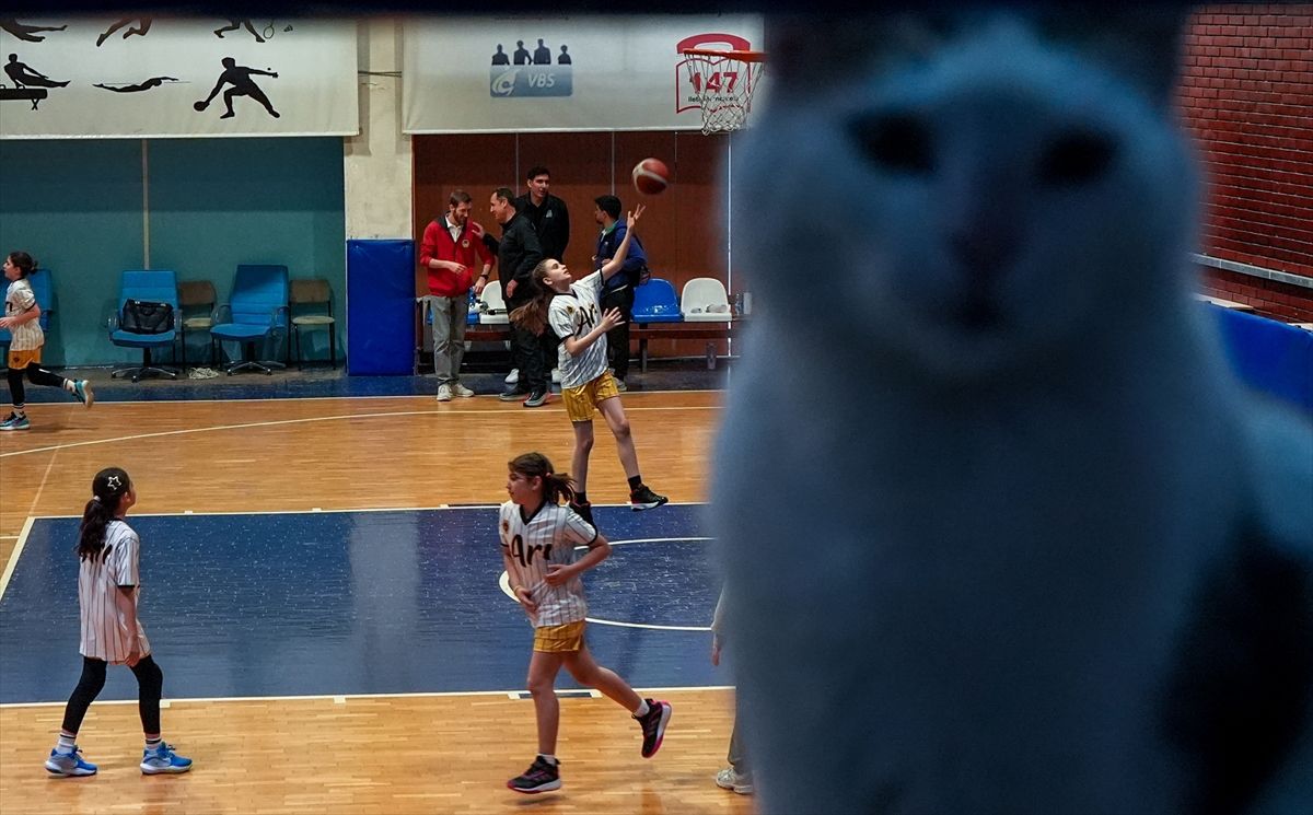 Ankara\'da Nezaket Haftası Başlıyor