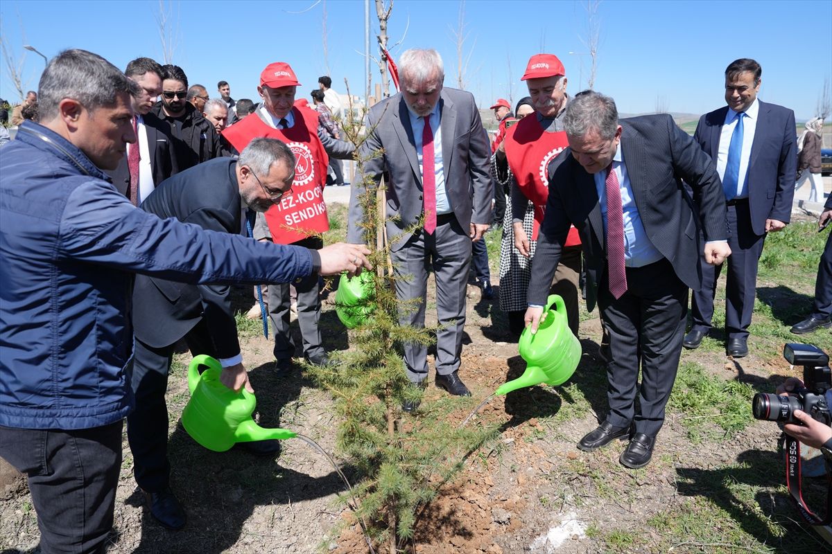 AYBÜ\'de 2 Bin Fidan Dikildi