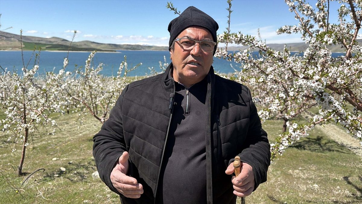 Elazığ\'da Badem Bahçesi Umut Veriyor