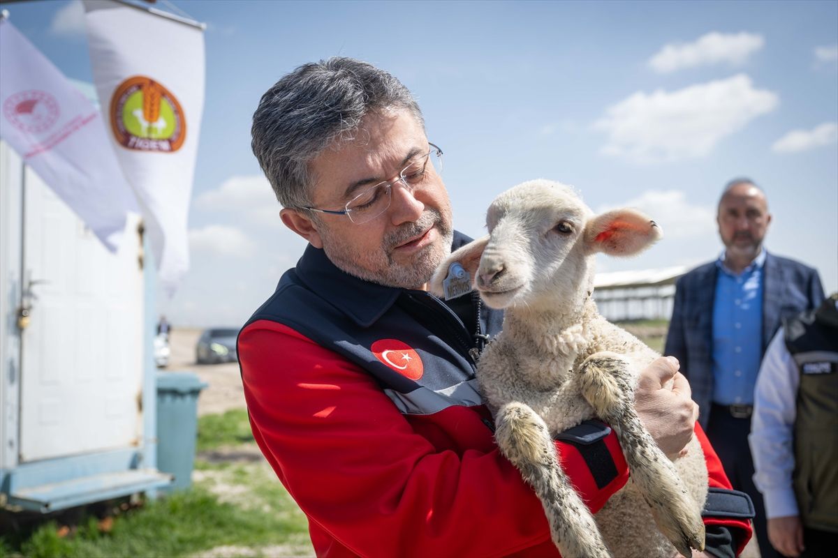 Küçükbaş Hayvancılığa Destek Projesi Başlatıldı