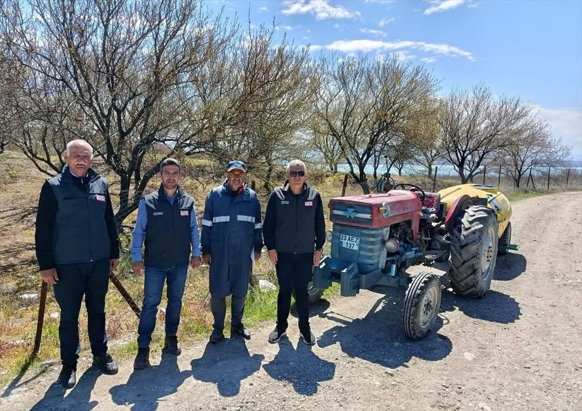 Kayısı Bahçelerine Teknik Destek
