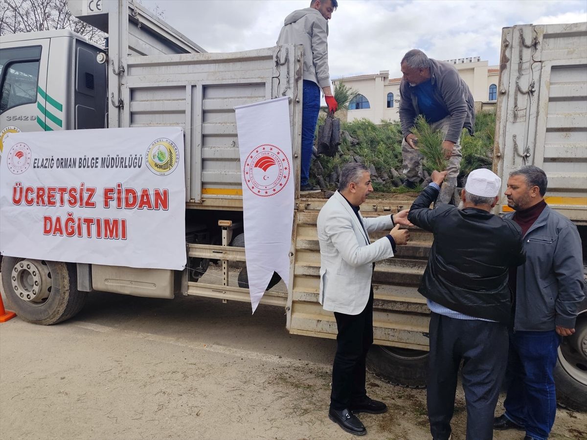 Baskil\'de 20 Bin Fidan Dağıtıldı