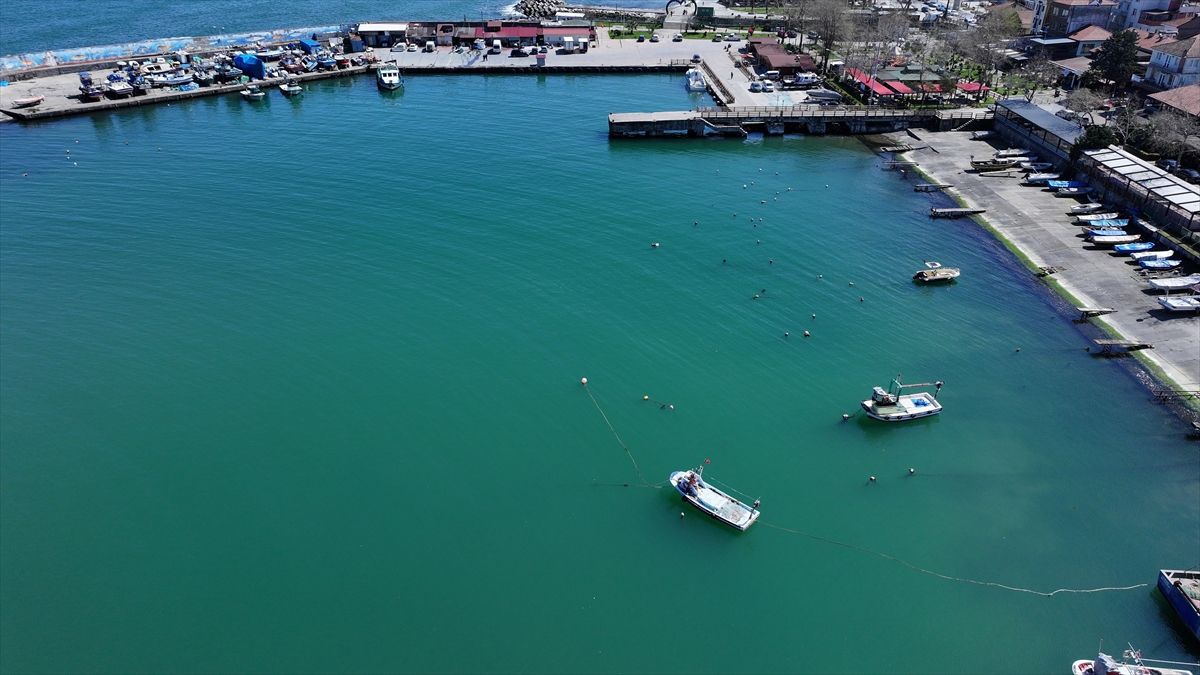 Balıkçılıkta Kötü Sezon: Umutlar Geleceğe Kaldı