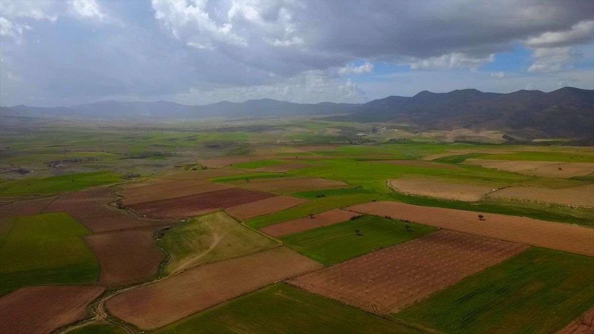 Batman\'da Çiftçiler Yağışla Yüksek Rekolte Bekliyor