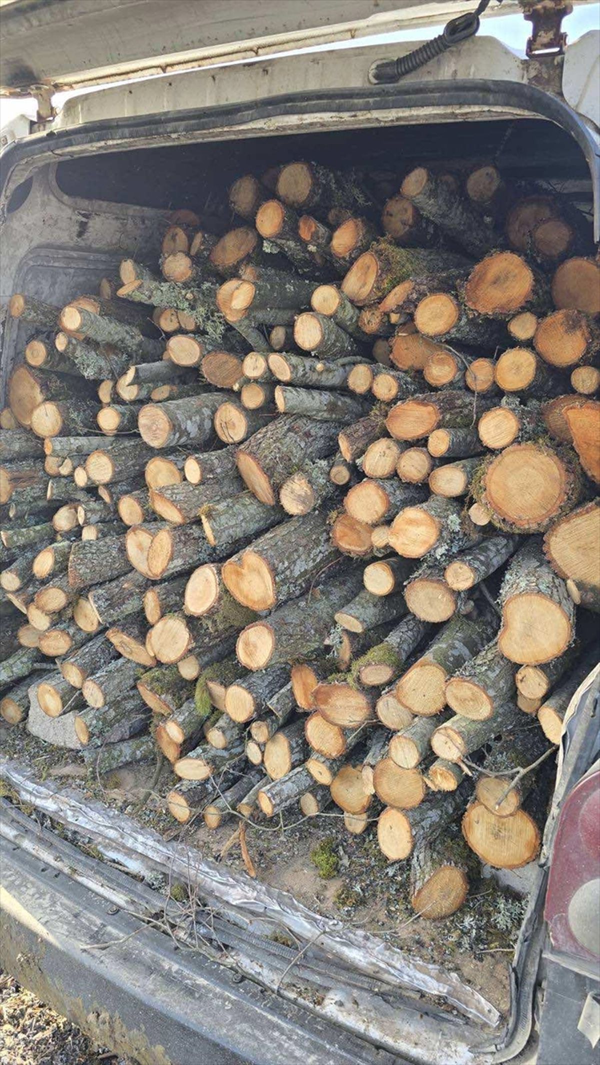 Bilecik\'te Kaçak Odun Taşınırken Yakalandı