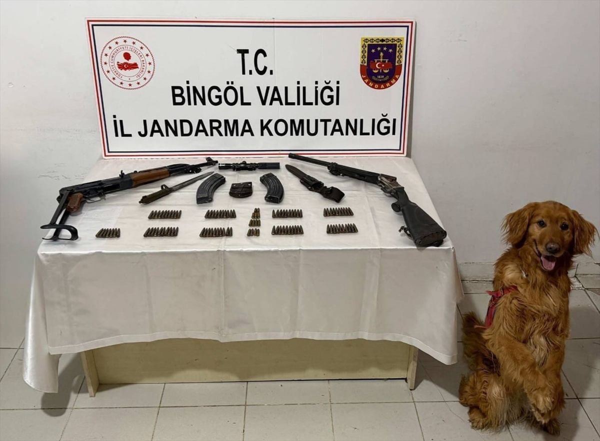 Bingöl\'de Yasa Dışı Silah Ele Geçirildi