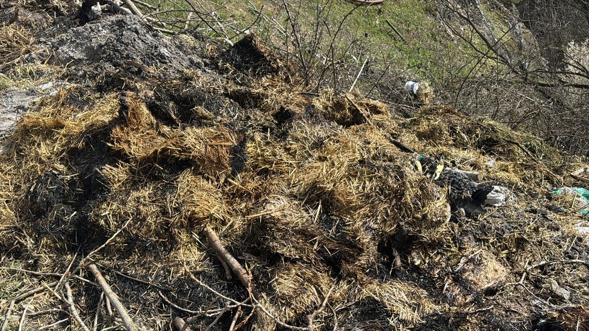 Bolu\'da Otluk Alanda Yangın Söndürüldü