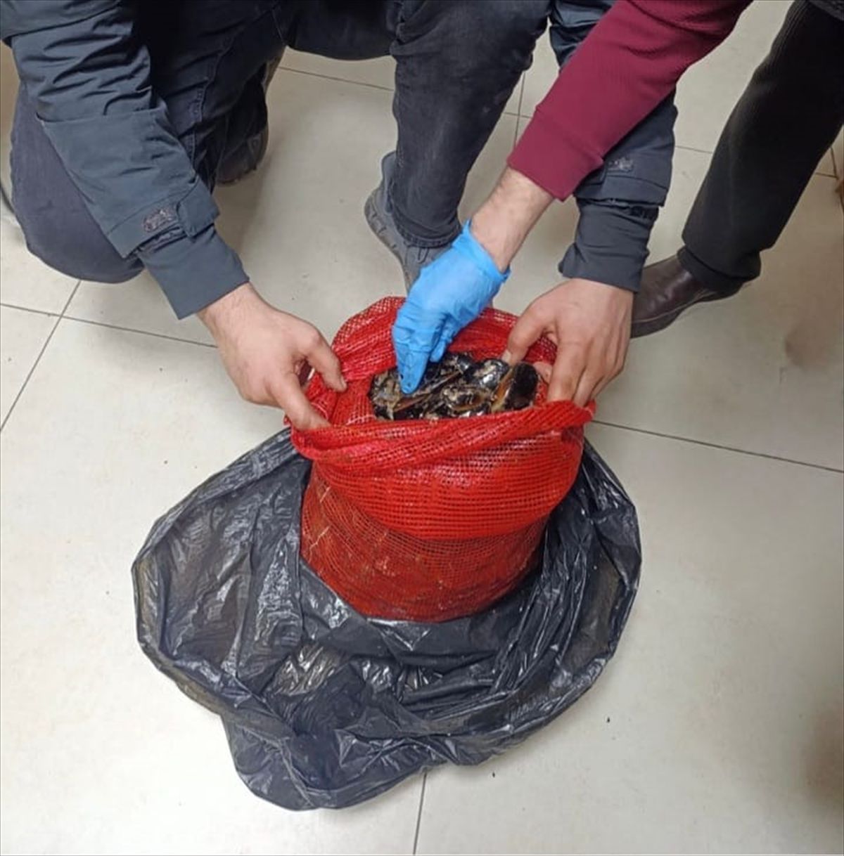 Halk sağlığını hiçe saydılar: 10 ton kaçak midye ele geçirildi