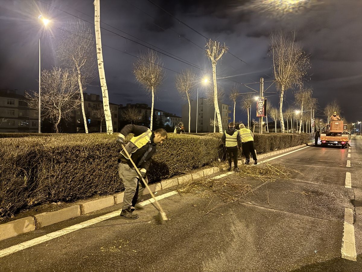 Kayseri\'de Ağaç Budama Çalışmaları