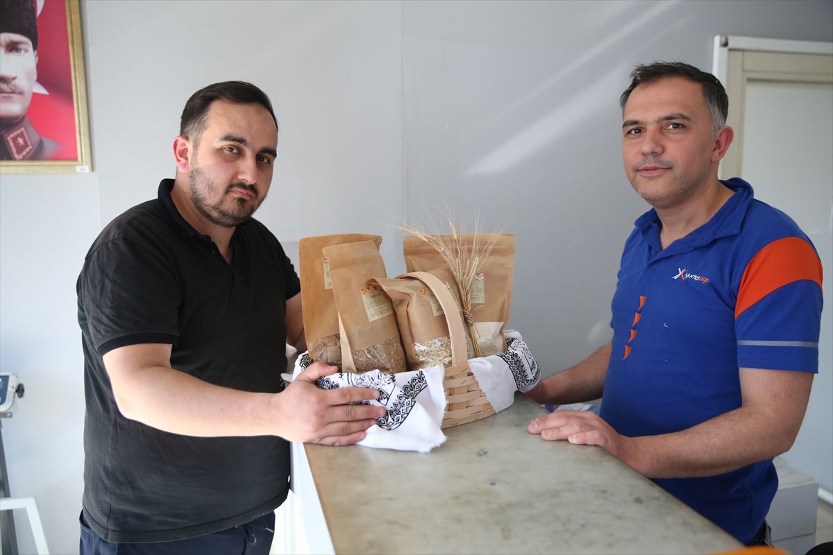Ötzi\'nin Yanında Siyez Sergisi