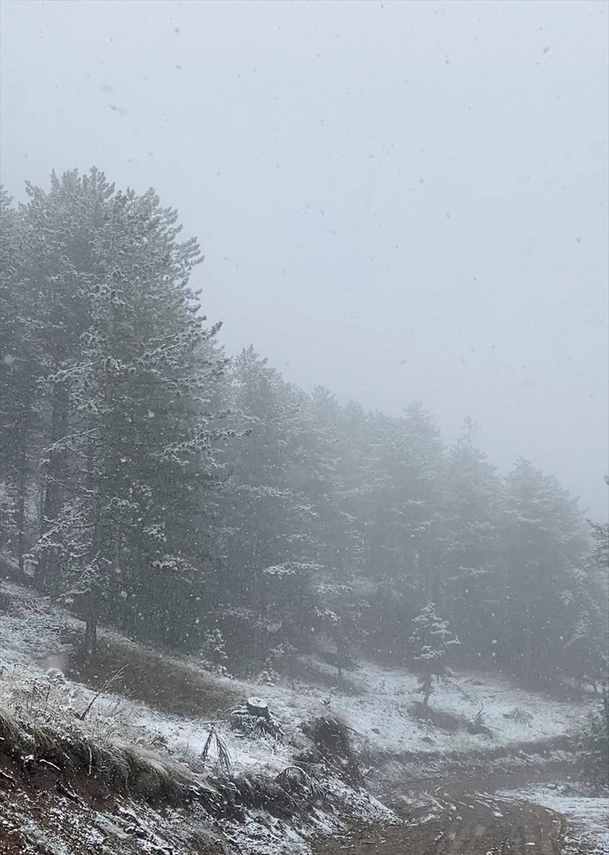 Bayat\'ta Nisan Ayında Kar Yağışı