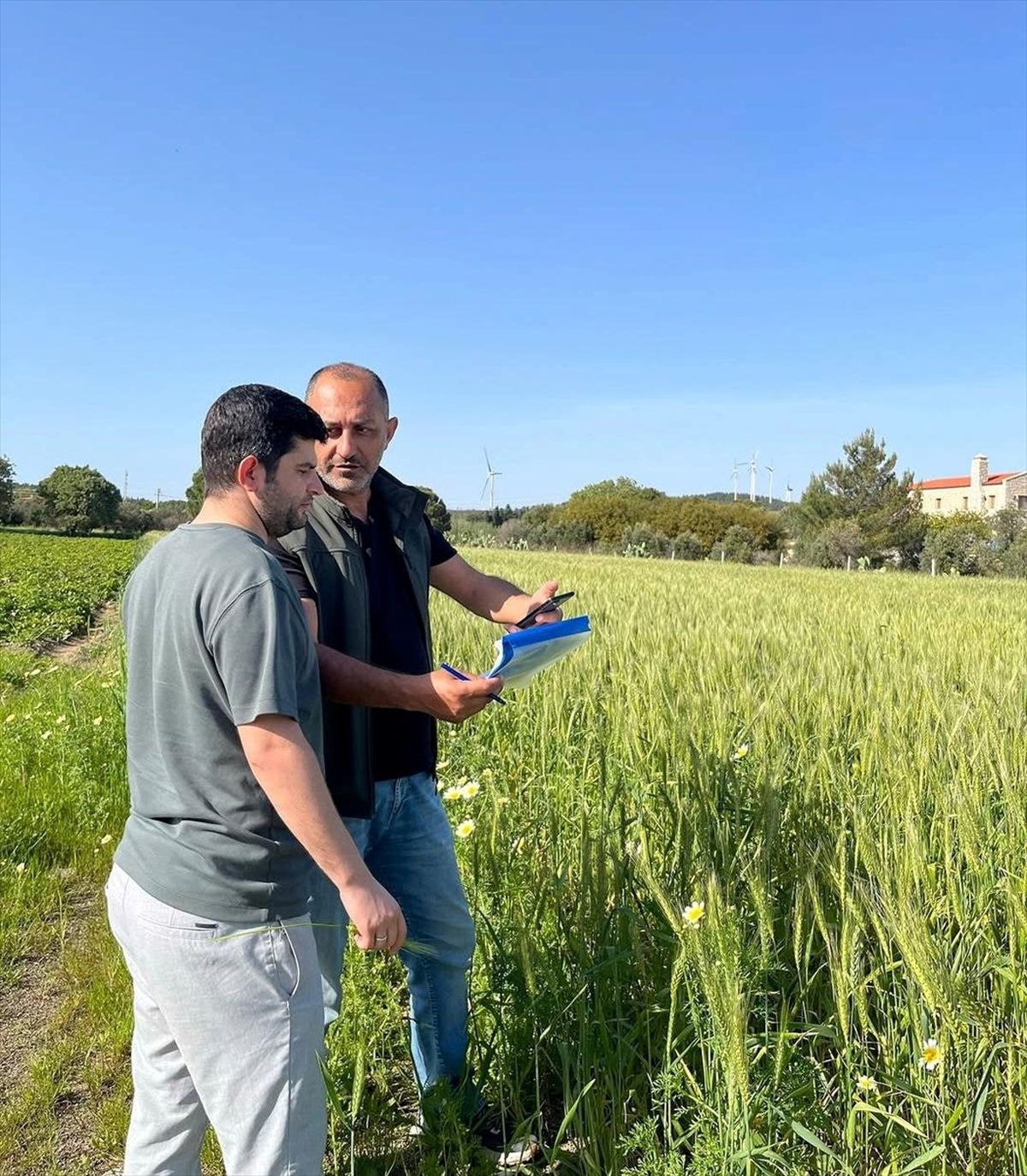 Datça\'da Tarım Arazileri Kontrolü Yapıldı