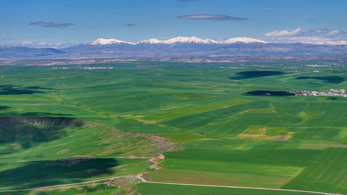 Diyarbakır\'da Buğdayda Verim Artışı Bekleniyor