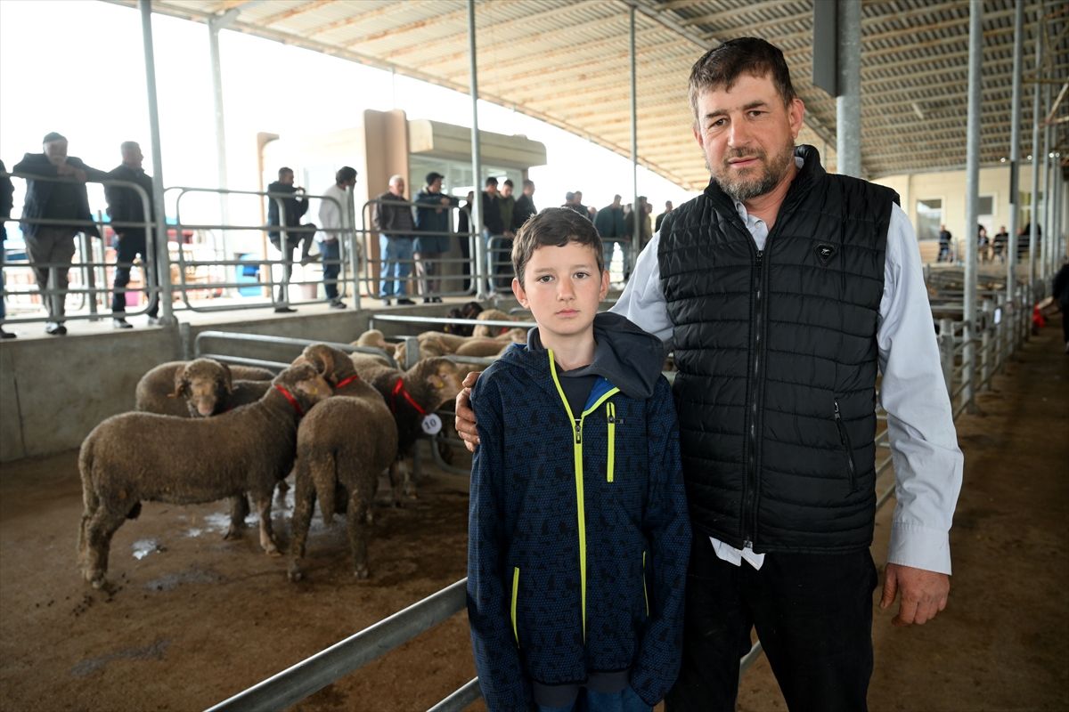 2. Edirne Koç ve Teke Mezatı Düzenlendi