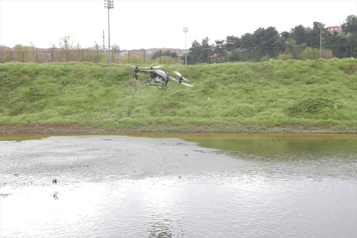 Edirne\'de Dronla Sivrisinek Mücadelesi