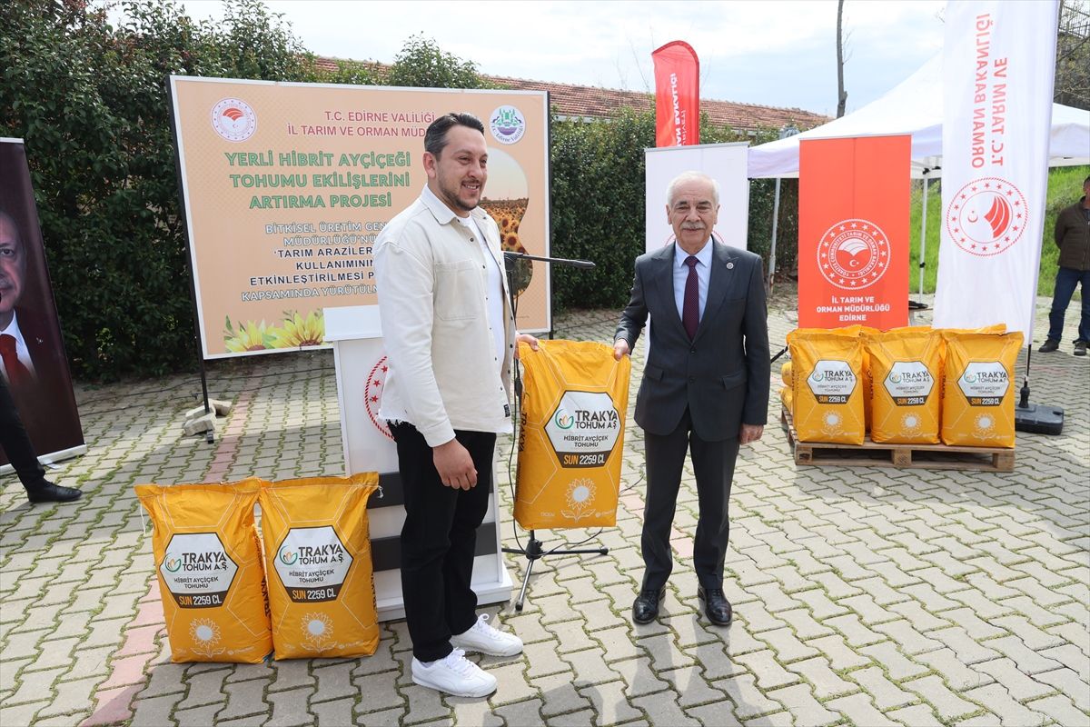 Edirne\'de Ayçiçeği Tohumu Desteği