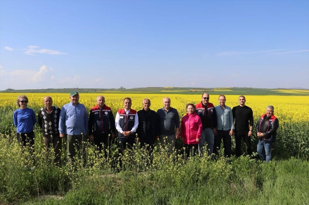 Edirne\'de Tarımsal Proje İncelemeleri