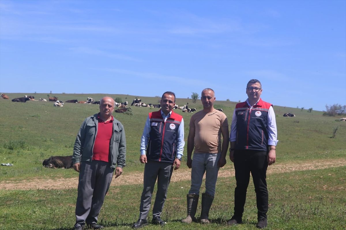 Edirne\'de Tarım ve Hayvancılığa Saha İncelemesi