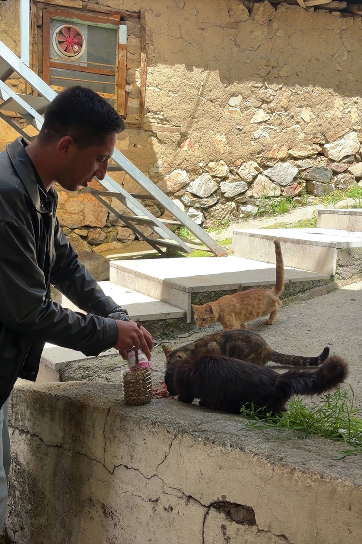 Elazığ\'da Öğrencilerden Kedilere Destek