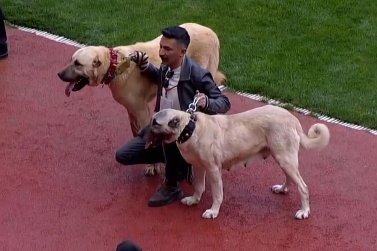 En sonunda bunu da gördük! Sahaya kangallarla çıktılar