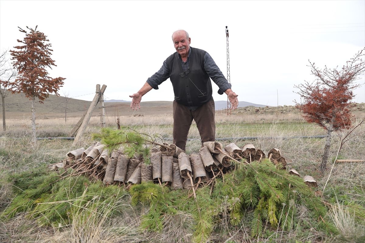 71 Yaşındaki Adamın Yeşil Mirası