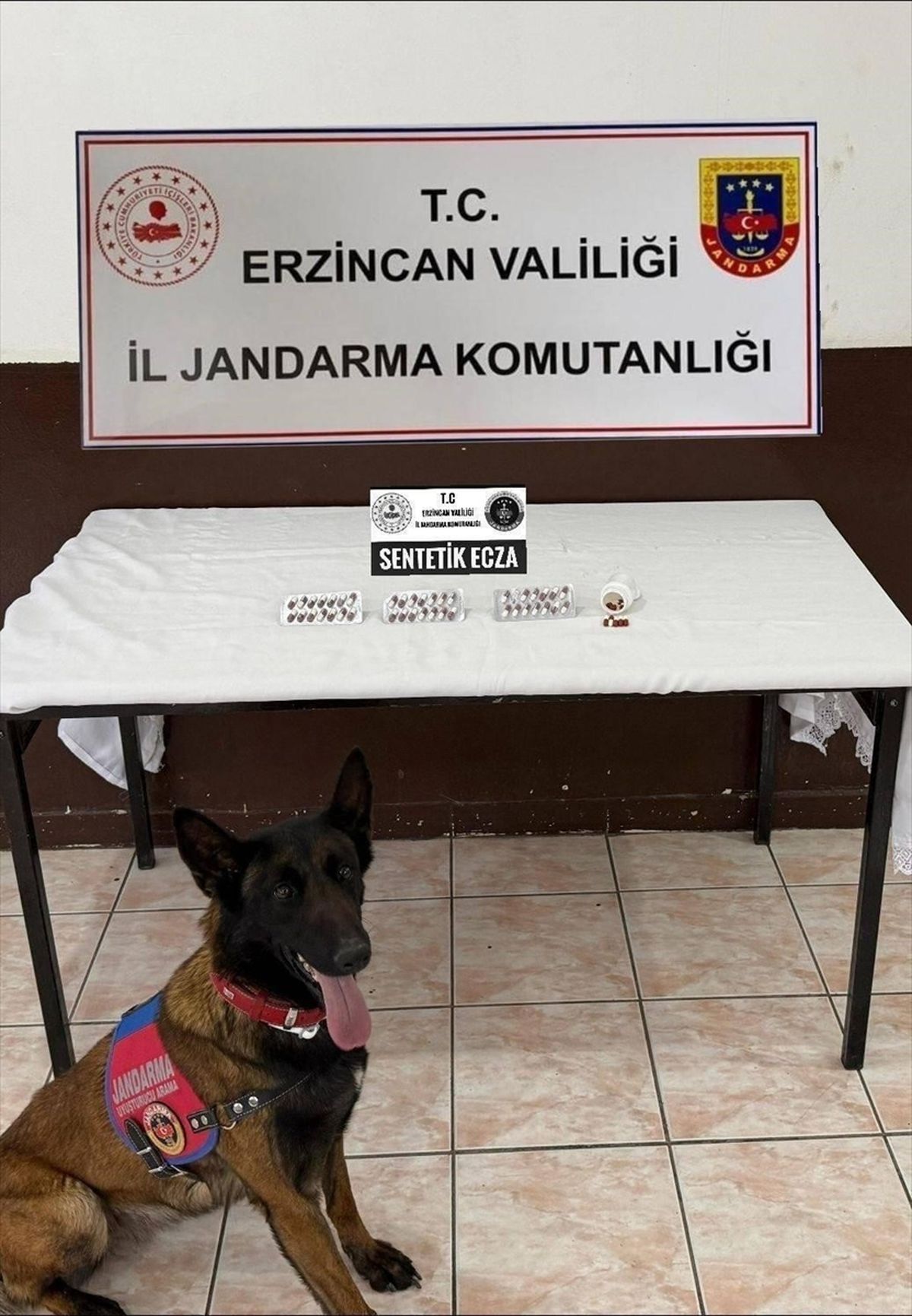 Erzincan\'da DEAŞ ve Uyuşturucu Operasyonları