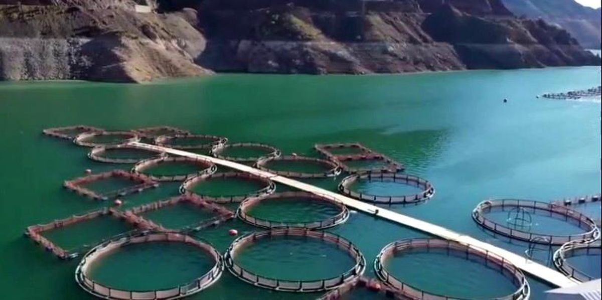 Erzurum\'da Tarıma 3,38 Milyar TL Yatırım