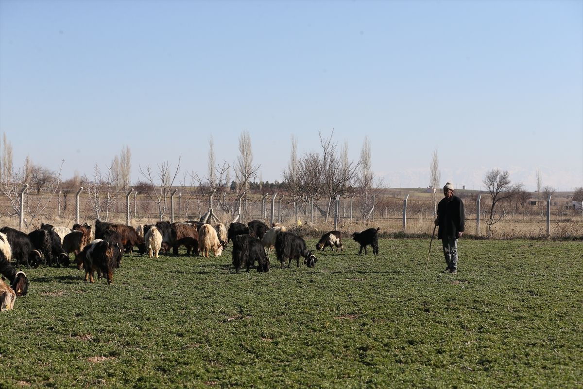 Eski Hükümlüye Devlet Desteğiyle Yeni Hayat