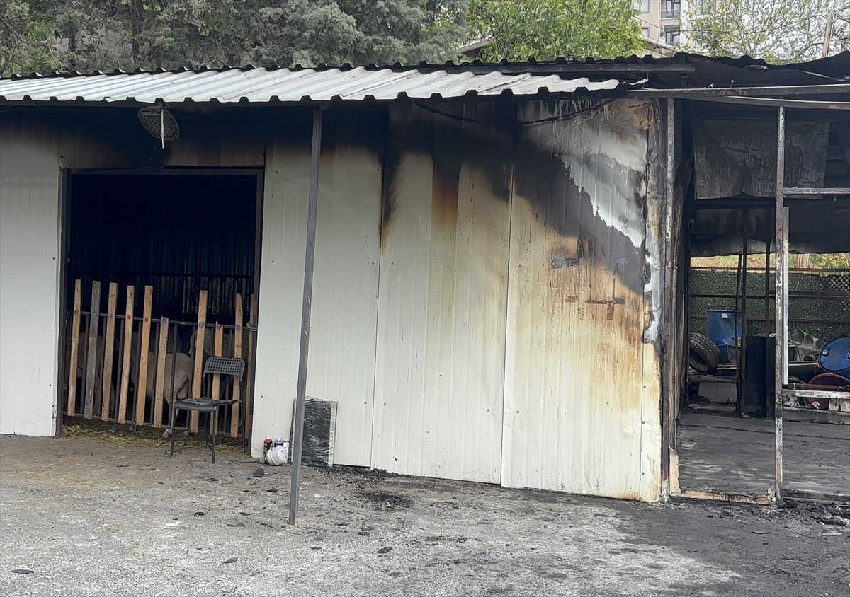 Eyüpsultan\'da Kurban Satış Merkezinde Yangın: 1 Ölü